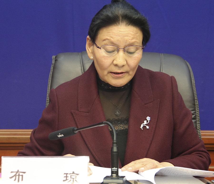 布瓊 區國土資源廳副廳長.jpg