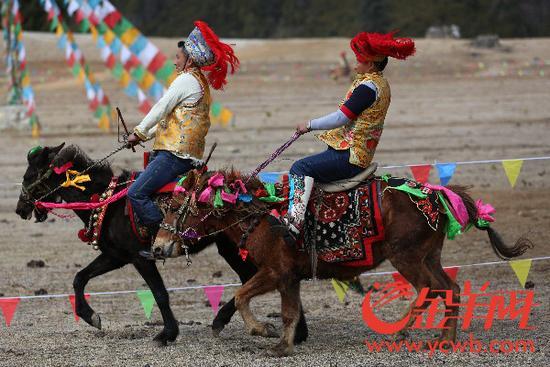 廣東省重點援藏項目——林芝魯朗國際旅游小鎮正式開業！_金羊網新聞