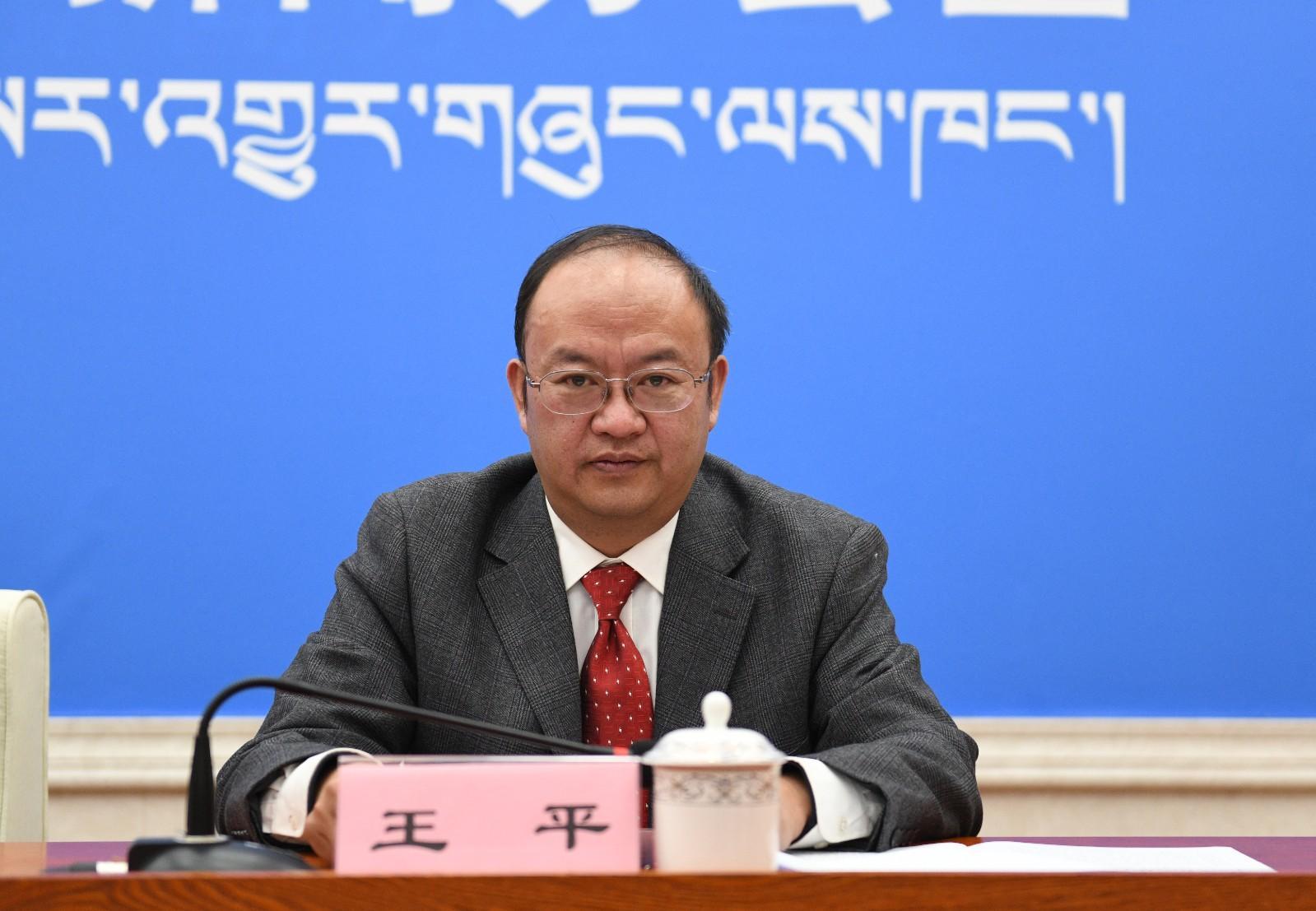 新聞發(fā)言人：西藏自治區(qū)統(tǒng)計局綜合處處長 王平.JPG