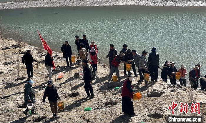 圖為朱巴龍鄉(xiāng)志愿者開展植樹造林活動。　芒康縣供圖