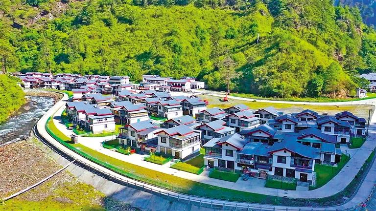 像格桑花一樣扎根在祖國邊陲