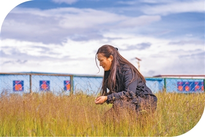 藏北高原有個草業科技小院